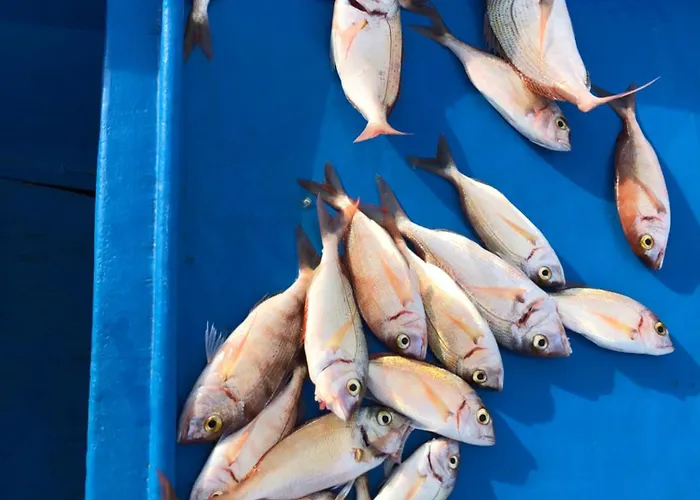 Rosmarina
