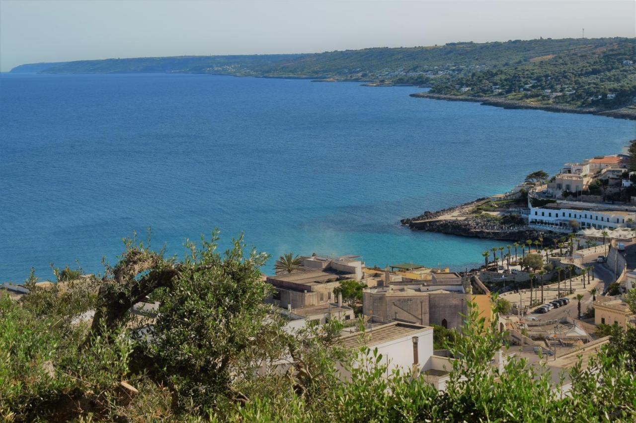 Rosmarina Castro (Lecce)